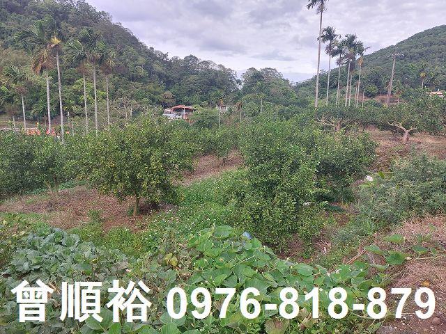 新竹農地-1