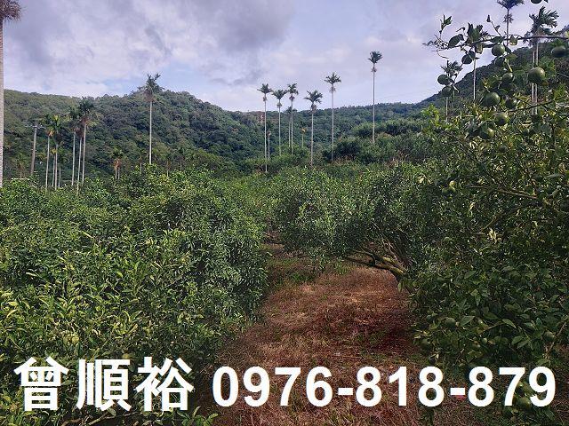 新竹農地-3