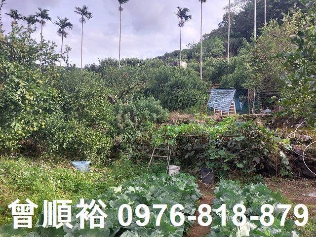 新竹農地-4