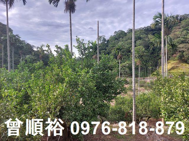 新竹農地-5
