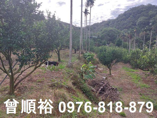 新竹農地-6