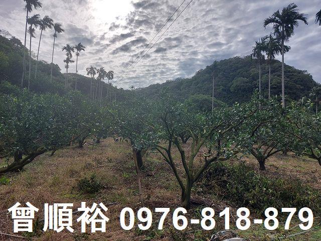新竹農地-7