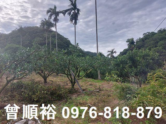 新竹農地-8
