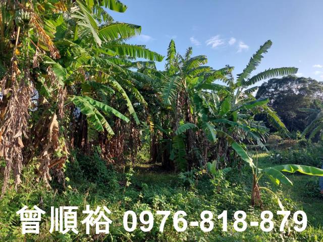 橫山農地-9