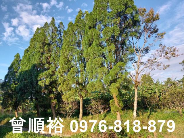 橫山農地-1
