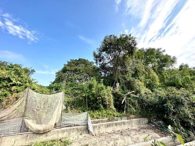 台中大雅農地-4