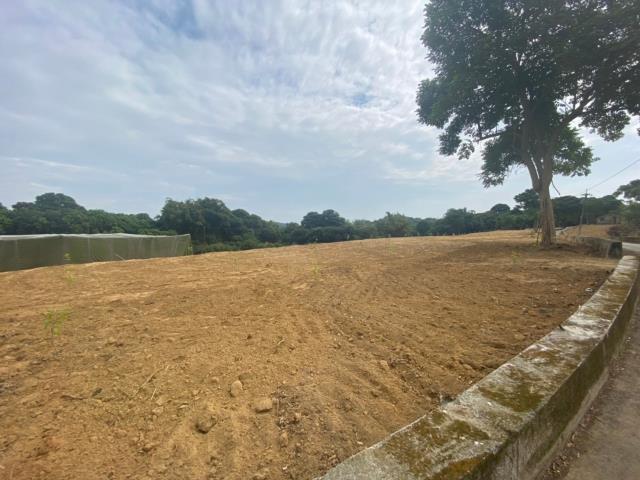 學甲買地送屋開心農場