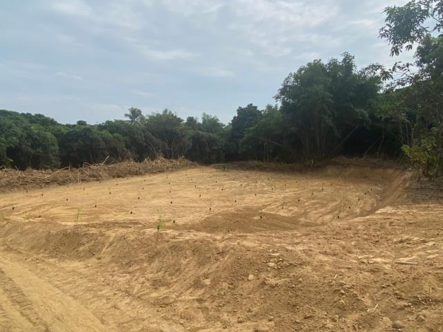 台南大內農地-5