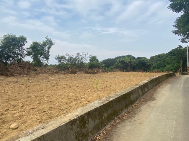 台南房屋柯辣媽芒果之都合法資材室農地