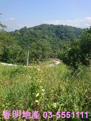 新竹寶山農地-10