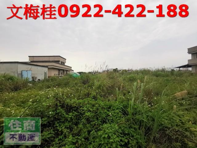 宜蘭農地-2