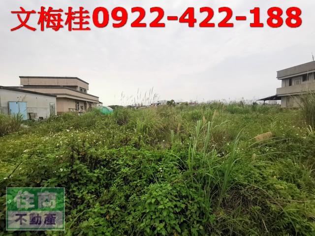 宜蘭農地-3