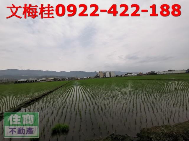 宜蘭農地-4
