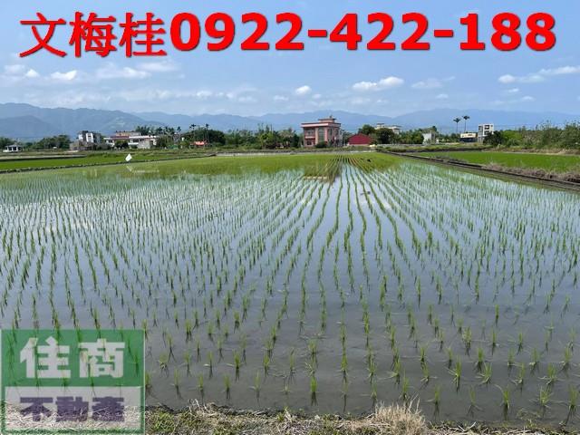 宜蘭三星農地-6