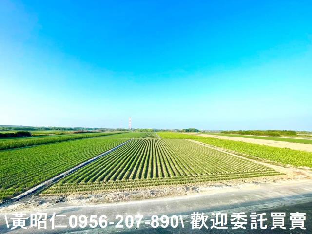 安南農地-1