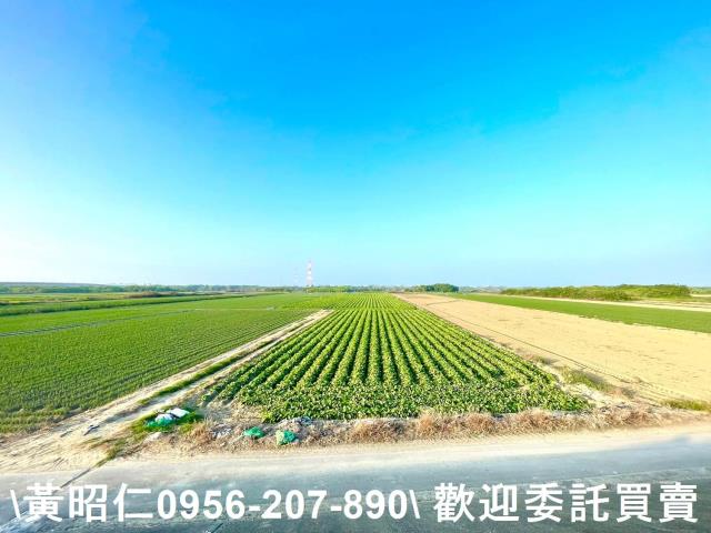 安南農地-6