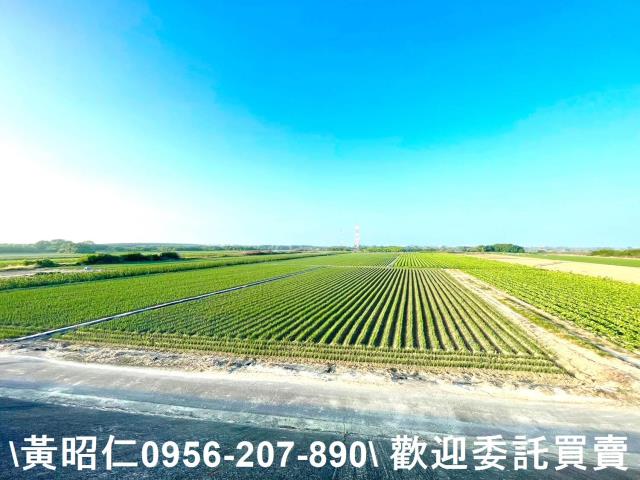 安南農地-7