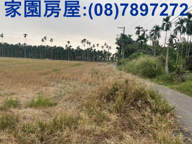 屏東農地-1