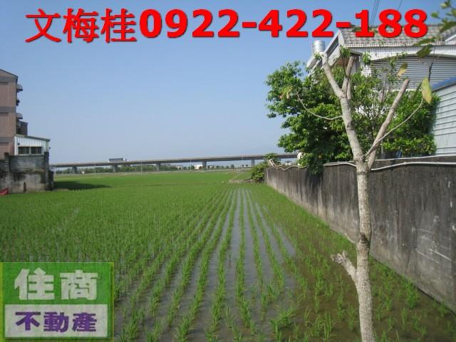 宜蘭宜蘭市農地-0