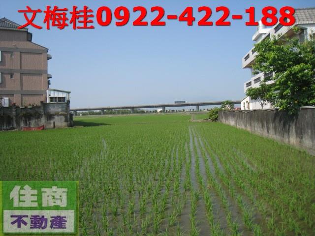 宜蘭宜蘭市農地-1
