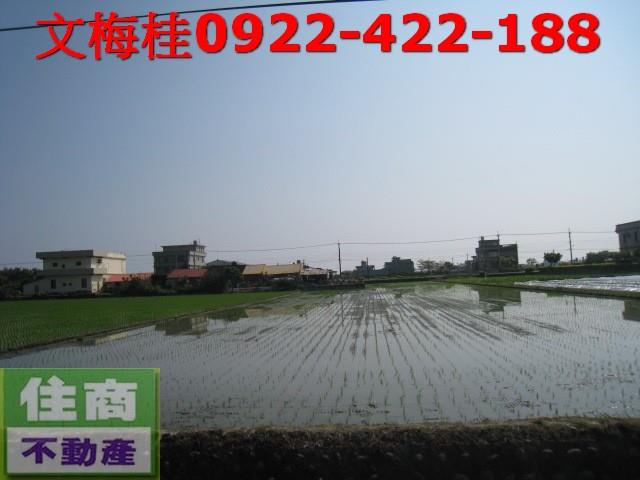 宜蘭宜蘭市農地-3
