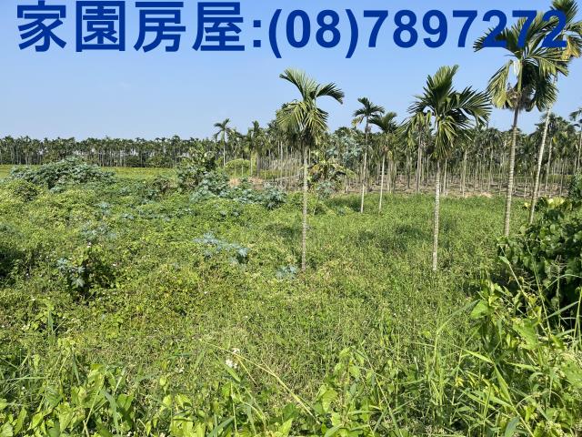 屏東潮州農地-1