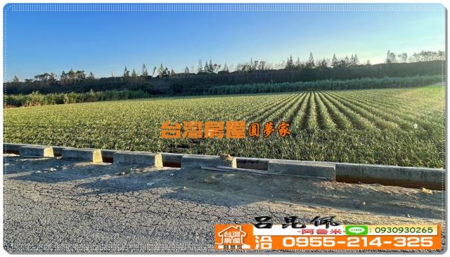 東勢鄉農地-4