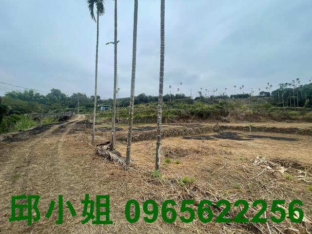 嘉義竹崎農地-2