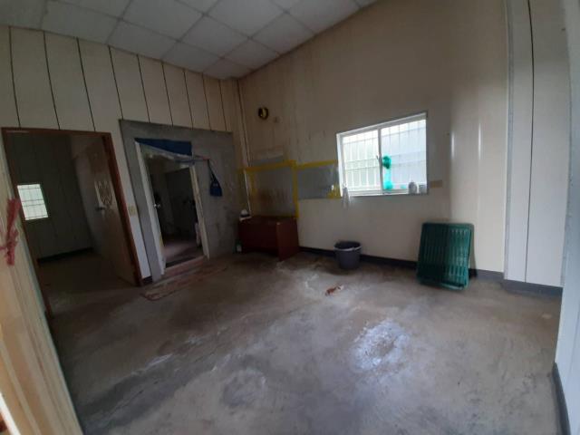 桃園新屋農地-4