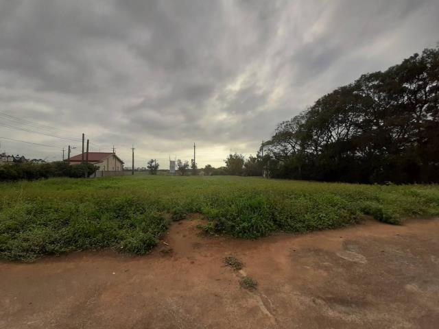 桃園新屋農地-6