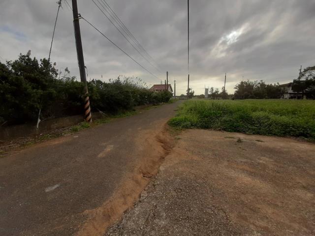 桃園新屋農地-7