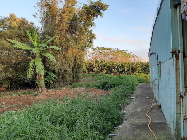 桃園新屋農地-8