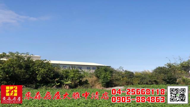 台中農地-9