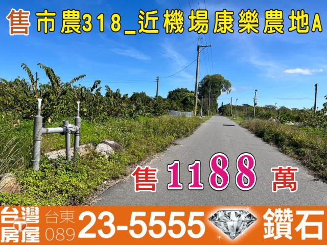 台東台東市農地-0