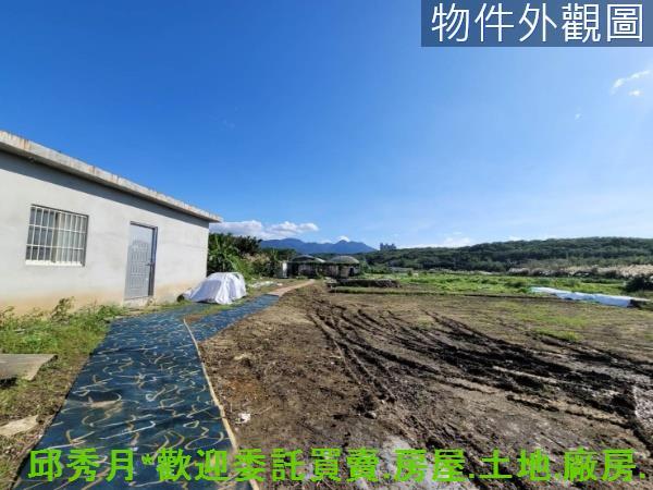 淡水農地-4