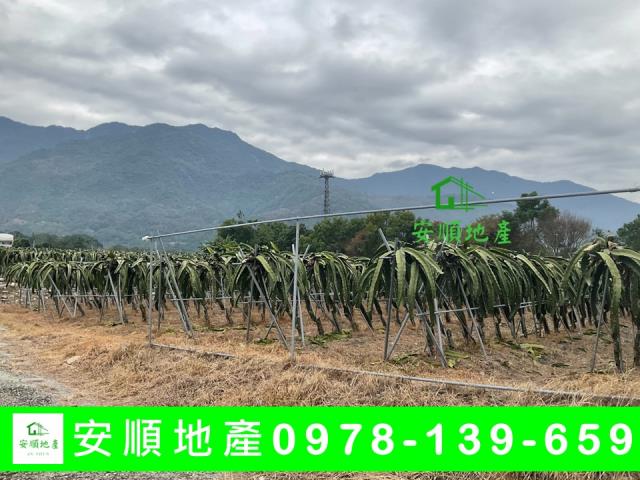 關山農地-5