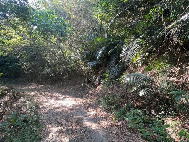 台南左鎮農地-3