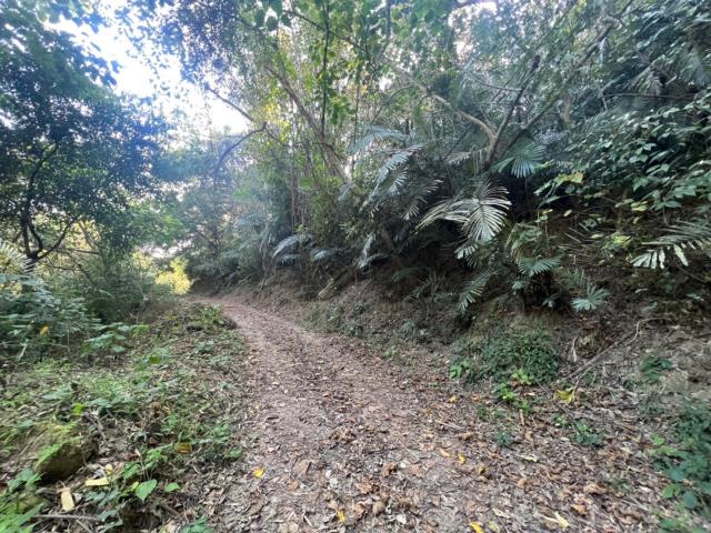 台南左鎮農地-4