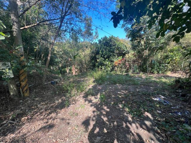 台南左鎮農地-5