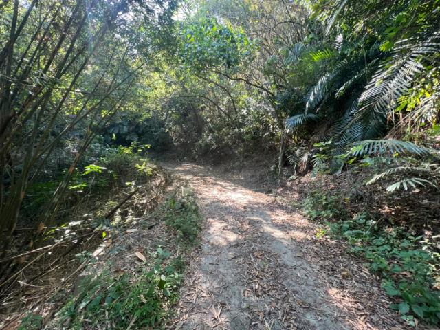 台南左鎮農地-6