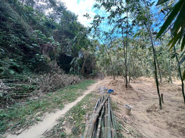 台南左鎮農地-3