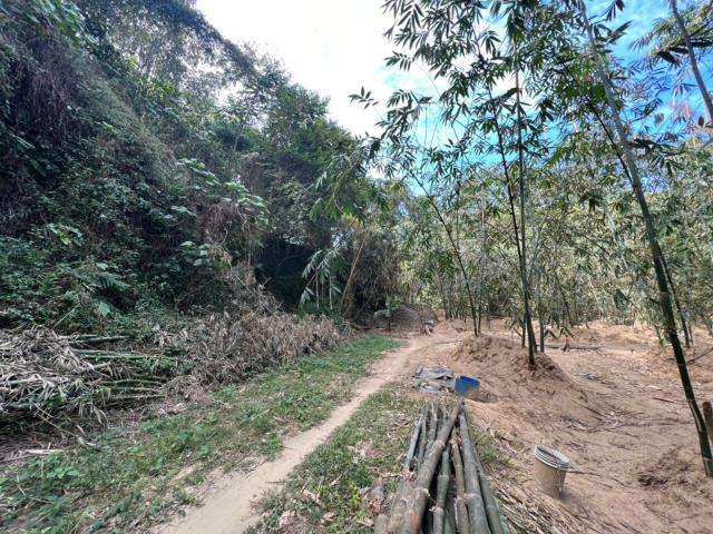 台南左鎮農地-4