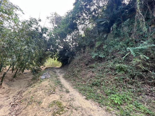 台南左鎮農地-5