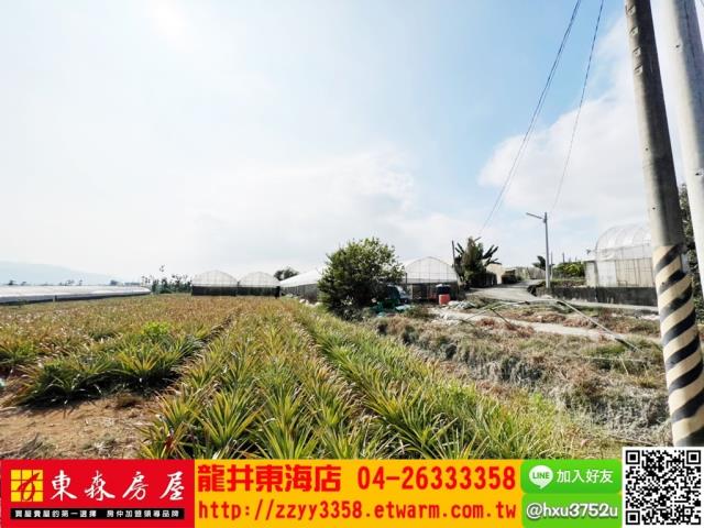 南投南投市農地-3