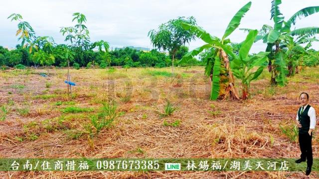 仁德農地-5