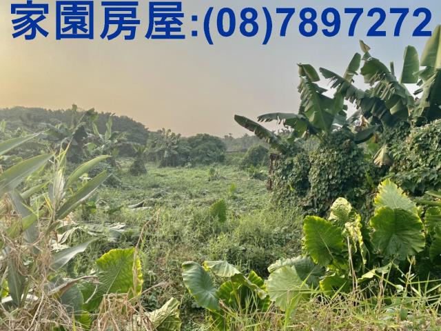 屏東萬巒農地-1