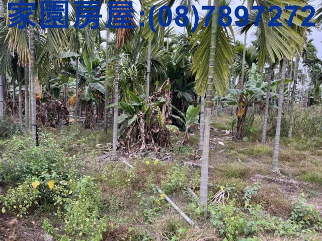 屏東萬丹農地-0