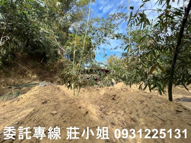 左鎮農地-0