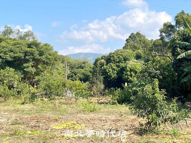 台南楠西農地-9