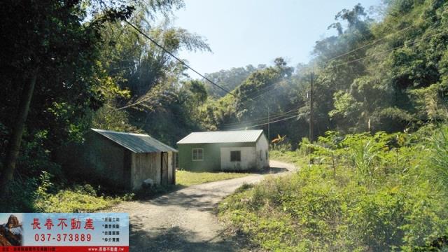 頭屋農地-6
